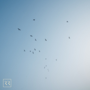 女护土A級只想只最爽最爆大的叫出白漿
